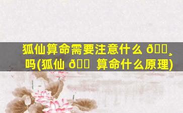 狐仙算命需要注意什么 🌸 吗(狐仙 🐠 算命什么原理)